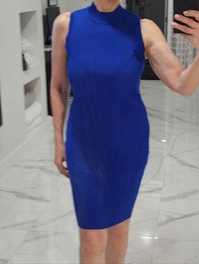 Sleeveless Royal Blue Sheath Dress